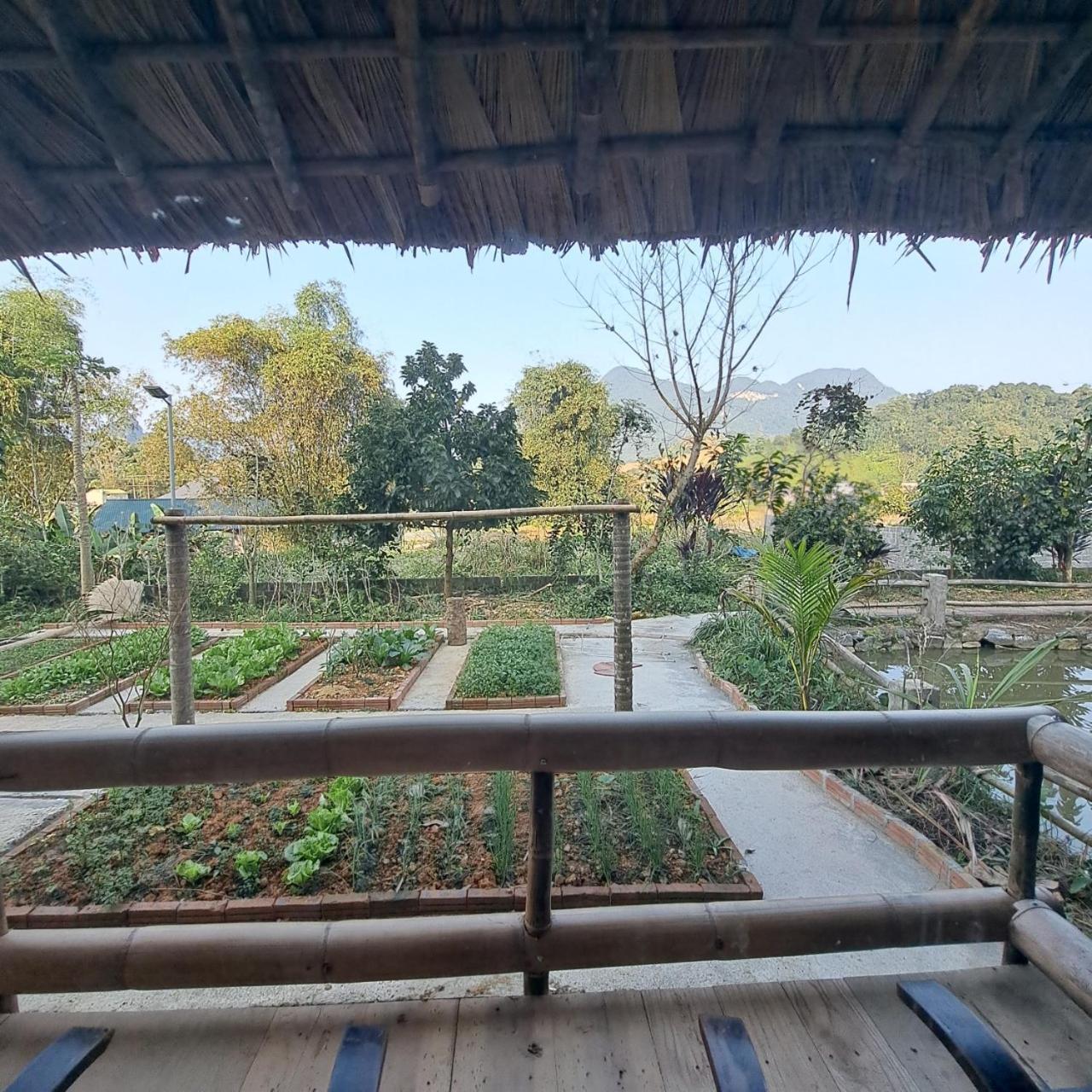 Homestay Field - Bungalow, Ha Giang Loop Tour, Motorbikes Rental ภายนอก รูปภาพ