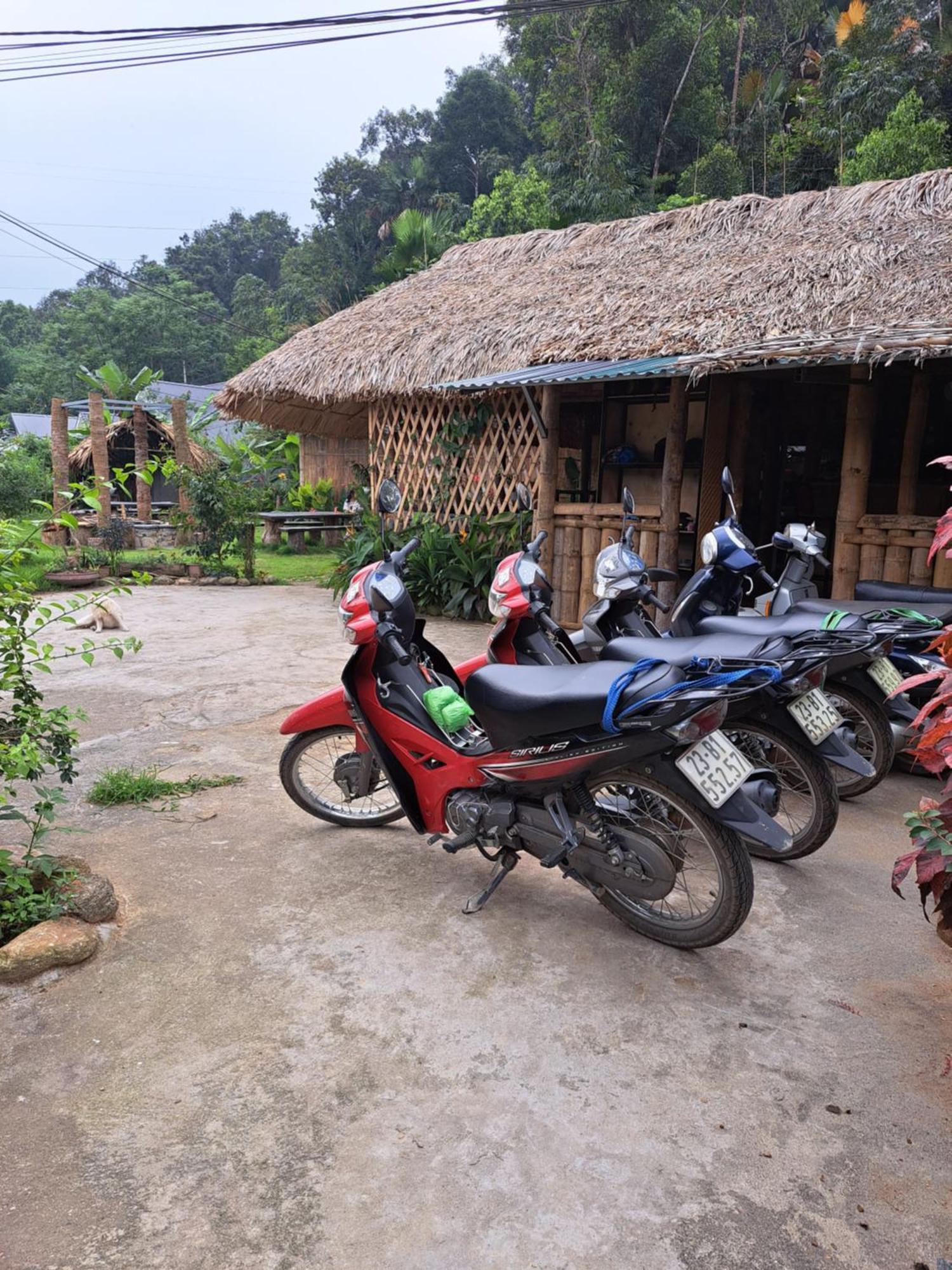 Homestay Field - Bungalow, Ha Giang Loop Tour, Motorbikes Rental ภายนอก รูปภาพ