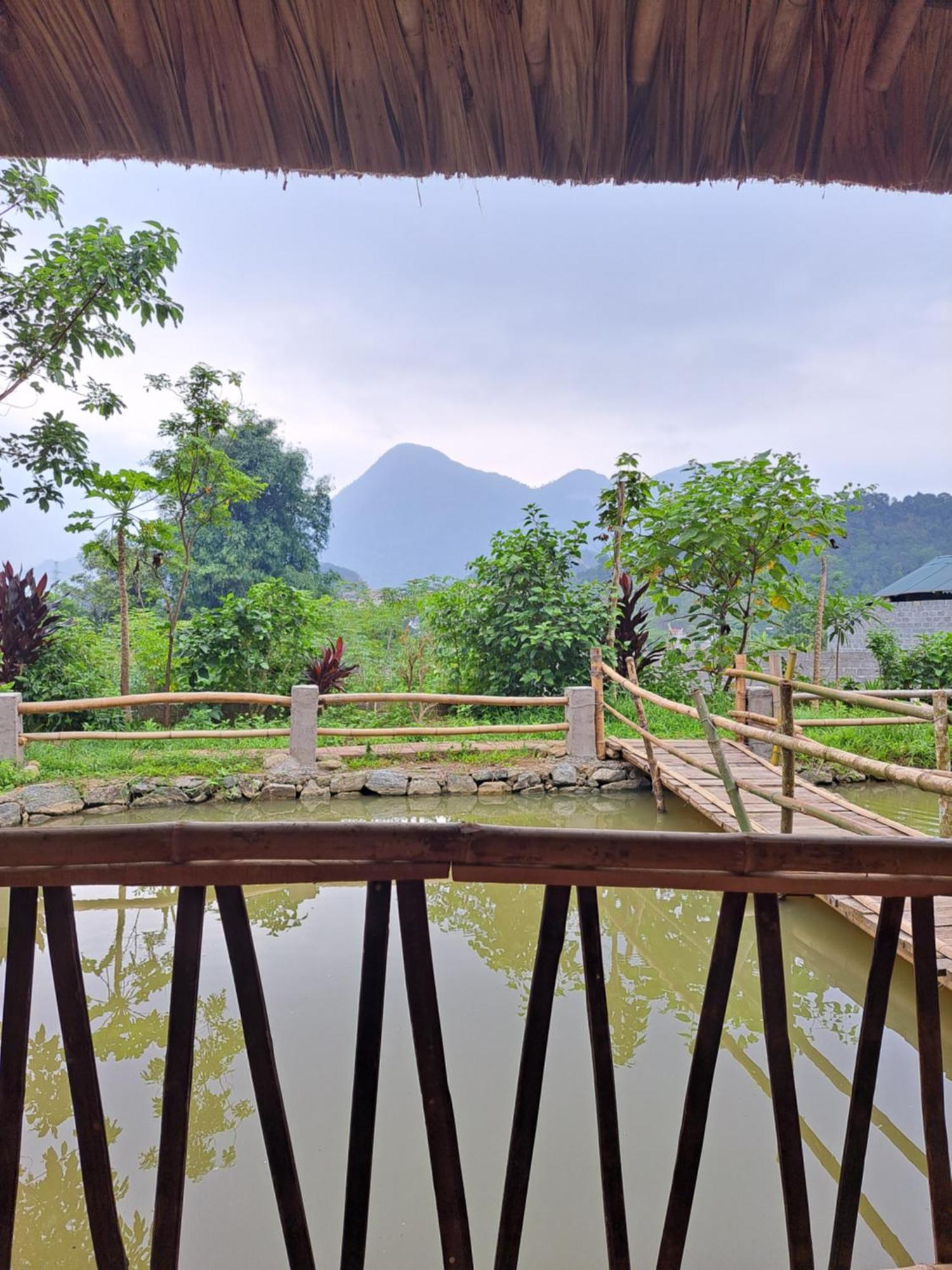 Homestay Field - Bungalow, Ha Giang Loop Tour, Motorbikes Rental ภายนอก รูปภาพ