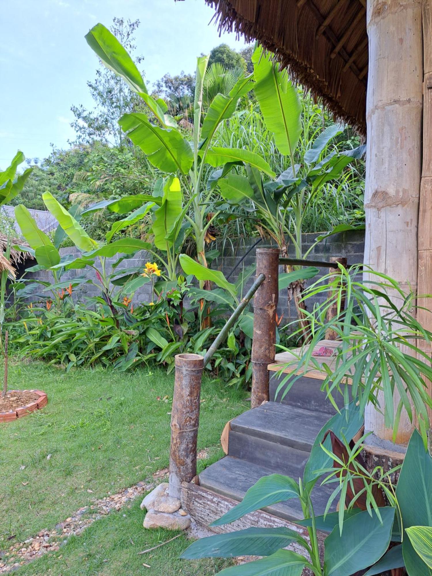 Homestay Field - Bungalow, Ha Giang Loop Tour, Motorbikes Rental ภายนอก รูปภาพ