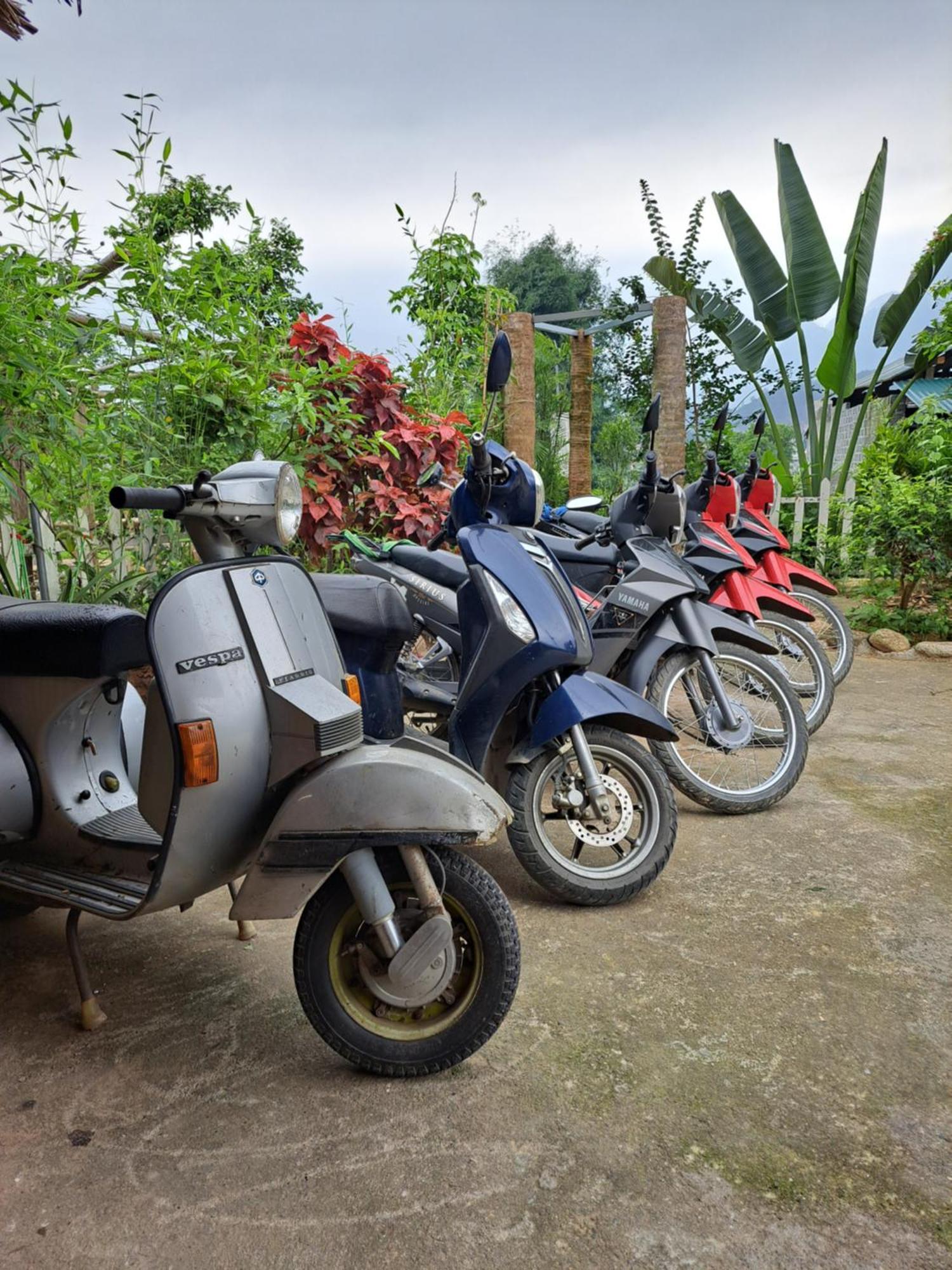 Homestay Field - Bungalow, Ha Giang Loop Tour, Motorbikes Rental ภายนอก รูปภาพ