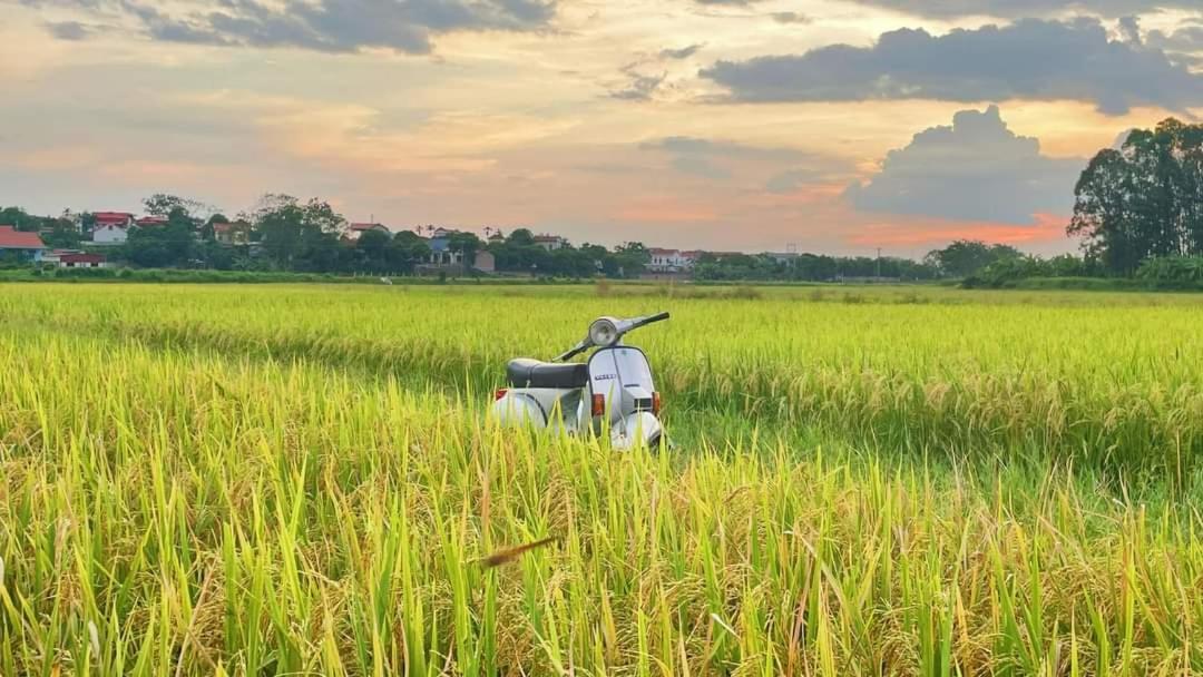 Homestay Field - Bungalow, Ha Giang Loop Tour, Motorbikes Rental ภายนอก รูปภาพ