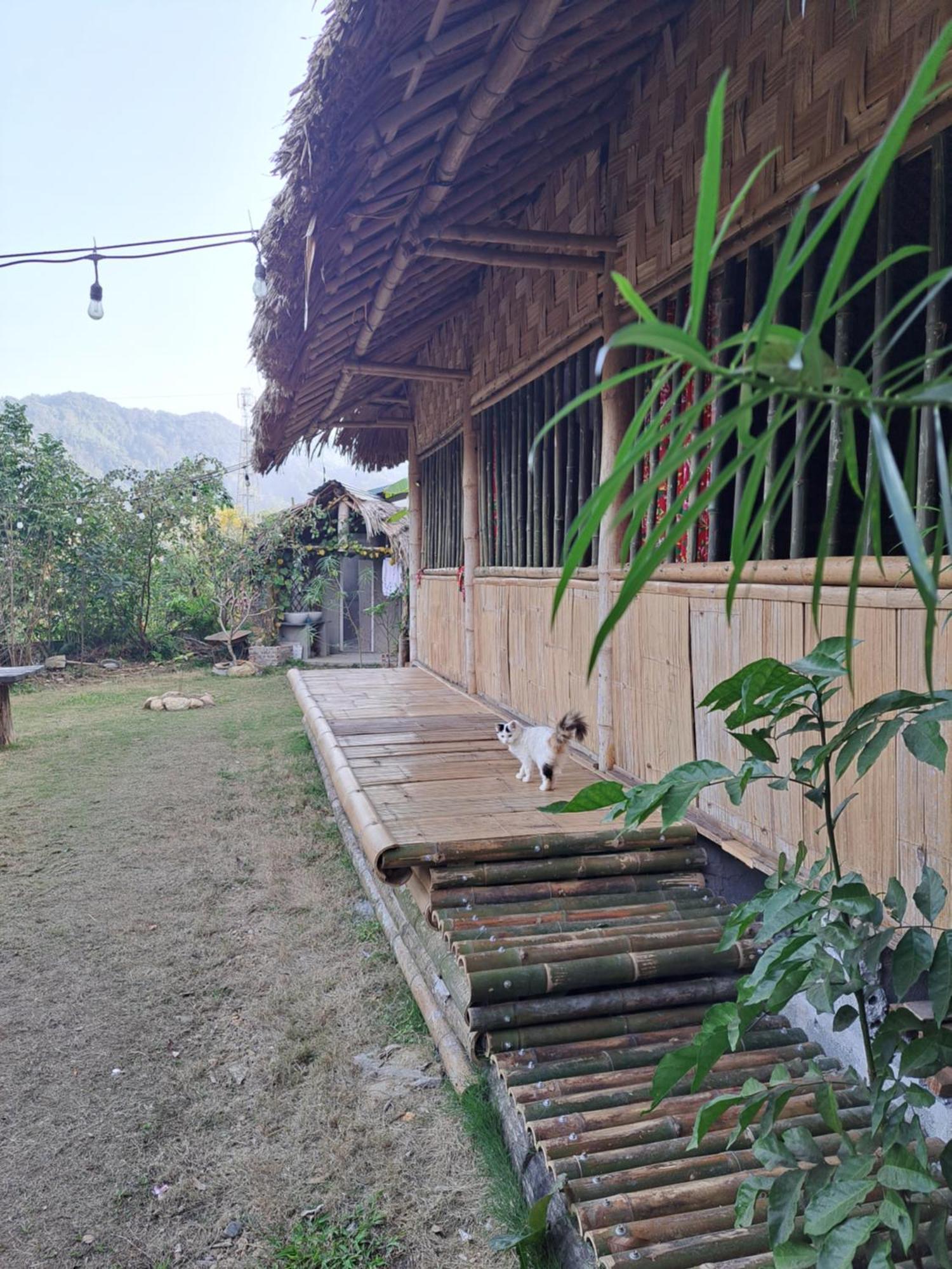 Homestay Field - Bungalow, Ha Giang Loop Tour, Motorbikes Rental ภายนอก รูปภาพ