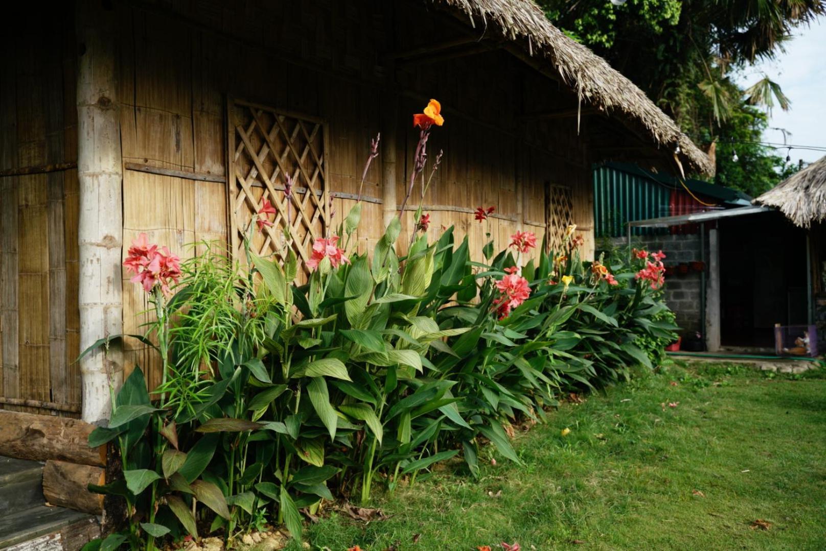 Homestay Field - Bungalow, Ha Giang Loop Tour, Motorbikes Rental ภายนอก รูปภาพ